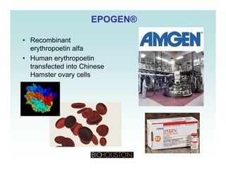 EPOGEN®EPOGEN®
• Recombinant
erythropoetin alfa
• Human erythropoetin
transfected into Chinese
Hamster ovary cellsHamster ovary cells
 
