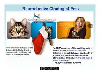 Reproductive Cloning of PetsReproductive Cloning of Pets
2004: Genetic Savings & Clone
delivers Little Nicky, the first
commercially- produced pet
"In FDA's analysis of the available data on
animal clones, no differences were
detected in overall behavior and health ofy p p
clone, to client from Texas.
detected in overall behavior and health of
juvenile and adult animal clones and
conventional animals, even at the level of
blood chemistry."
—FDA press release 10/31/03—FDA press release 10/31/03
 