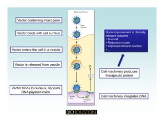 Vector containing intact gene
Vector binds with cell surface Some improvement in clinically
relevant outcome
• Survival
Vector enters the cell in a vesicle
• Survival
• Reduction in pain
• Improved immune function
• …
Vector is released from vesicle
Cell machinery producesCell machinery produces
therapeutic protein
Vector binds to nucleus, deposits
DNA payload inside
Cell machinery integrates DNA
 
