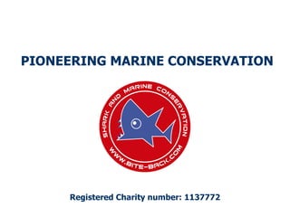 PIONEERING MARINE CONSERVATION Registered Charity number: 1137772 