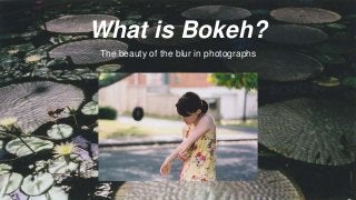 What is Bokeh?
The beauty of the blur in photographs
 