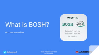 @eljuanchosf
What is BOSH?
An over-overview
Juan Pablo Genovese
Cloud Engineer
 