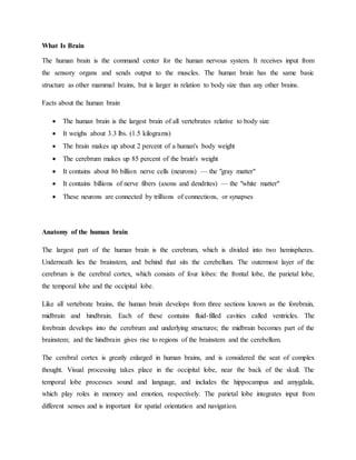 What Is Brain
The human brain is the command center for the human nervous system. It receives input from
the sensory organs and sends output to the muscles. The human brain has the same basic
structure as other mammal brains, but is larger in relation to body size than any other brains.
Facts about the human brain
 The human brain is the largest brain of all vertebrates relative to body size
 It weighs about 3.3 lbs. (1.5 kilograms)
 The brain makes up about 2 percent of a human's body weight
 The cerebrum makes up 85 percent of the brain's weight
 It contains about 86 billion nerve cells (neurons) — the "gray matter"
 It contains billions of nerve fibers (axons and dendrites) — the "white matter"
 These neurons are connected by trillions of connections, or synapses
Anatomy of the human brain
The largest part of the human brain is the cerebrum, which is divided into two hemispheres.
Underneath lies the brainstem, and behind that sits the cerebellum. The outermost layer of the
cerebrum is the cerebral cortex, which consists of four lobes: the frontal lobe, the parietal lobe,
the temporal lobe and the occipital lobe.
Like all vertebrate brains, the human brain develops from three sections known as the forebrain,
midbrain and hindbrain. Each of these contains fluid-filled cavities called ventricles. The
forebrain develops into the cerebrum and underlying structures; the midbrain becomes part of the
brainstem; and the hindbrain gives rise to regions of the brainstem and the cerebellum.
The cerebral cortex is greatly enlarged in human brains, and is considered the seat of complex
thought. Visual processing takes place in the occipital lobe, near the back of the skull. The
temporal lobe processes sound and language, and includes the hippocampus and amygdala,
which play roles in memory and emotion, respectively. The parietal lobe integrates input from
different senses and is important for spatial orientation and navigation.
 