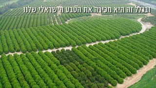 ‫שלנו‬ ‫הישראלי‬ ‫הטבע‬ ‫את‬ ‫מכירה‬ ‫היא‬ ‫זה‬ ‫ובגלל‬
 