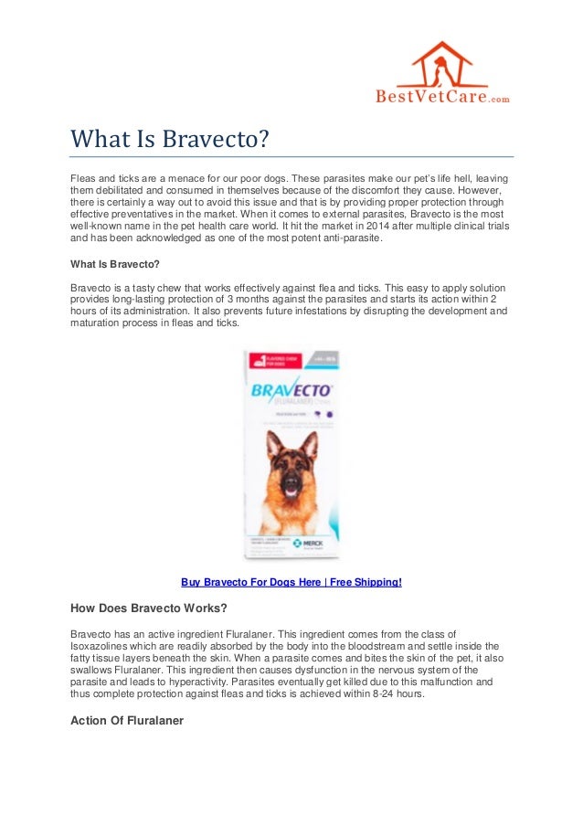 does bravecto