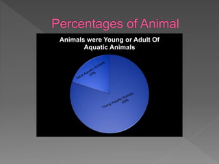 Animals were Young or Adult Of
Aquatic Animals
 
