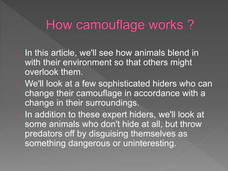 In this article, we'll see how animals blend in
with their environment so that others might
overlook them.
We'll look at a few sophisticated hiders who can
change their camouflage in accordance with a
change in their surroundings.
In addition to these expert hiders, we'll look at
some animals who don't hide at all, but throw
predators off by disguising themselves as
something dangerous or uninteresting.
 