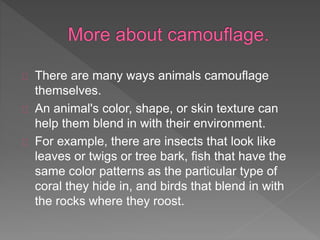 There are many ways animals camouflage
themselves.
An animal's color, shape, or skin texture can
help them blend in with their environment.
For example, there are insects that look like
leaves or twigs or tree bark, fish that have the
same color patterns as the particular type of
coral they hide in, and birds that blend in with
the rocks where they roost.
 