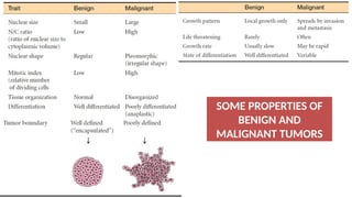 CANCER: KINDS, MECHANISM GENETICS AND EXAMPLES | PPTX