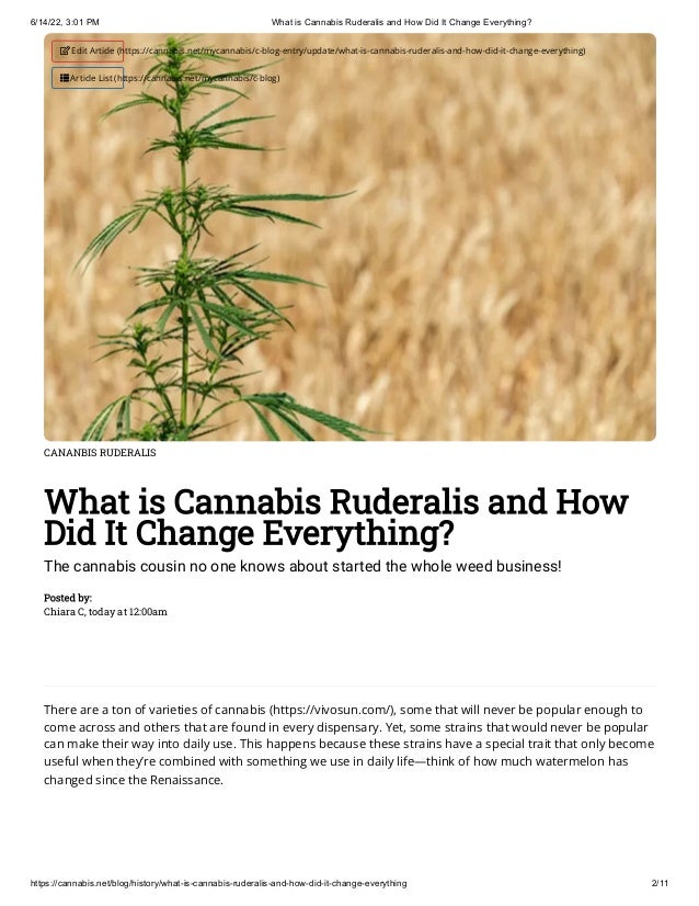 6/14/22, 3:01 PM What is Cannabis Ruderalis and How Did It Change Everything?
https://cannabis.net/blog/history/what-is-cannabis-ruderalis-and-how-did-it-change-everything 2/11
CANANBIS RUDERALIS
What is Cannabis Ruderalis and How
Did It Change Everything?
The cannabis cousin no one knows about started the whole weed business!
Posted by:

Chiara C, today at 12:00am
There are a ton of varieties of cannabis (https://vivosun.com/), some that will never be popular enough to
come across and others that are found in every dispensary. Yet, some strains that would never be popular
can make their way into daily use. This happens because these strains have a special trait that only become
useful when they’re combined with something we use in daily life—think of how much watermelon has
changed since the Renaissance.
 Edit Article (https://cannabis.net/mycannabis/c-blog-entry/update/what-is-cannabis-ruderalis-and-how-did-it-change-everything)
 Article List (https://cannabis.net/mycannabis/c-blog)
 