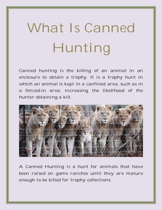 What Is Canned
Hunting
Canned hunting is the killing of an animal in an
enclosure to obtain a trophy. It is a trophy hunt in
which an animal is kept in a confined area, such as in
a fenced-in area, increasing the likelihood of the
hunter obtaining a kill.
A Canned Hunting is a hunt for animals that have
been raised on game ranches until they are mature
enough to be killed for trophy collections.
 