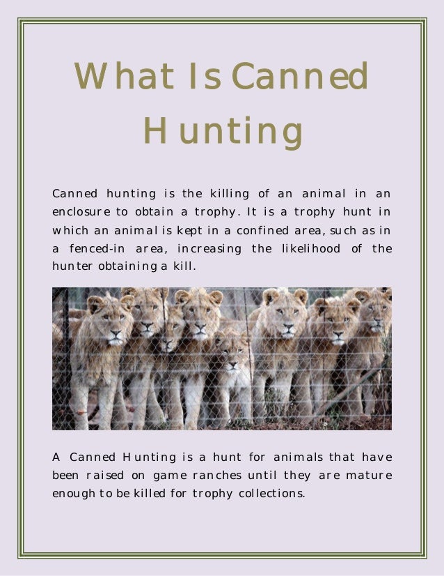 What is Canned Hunting