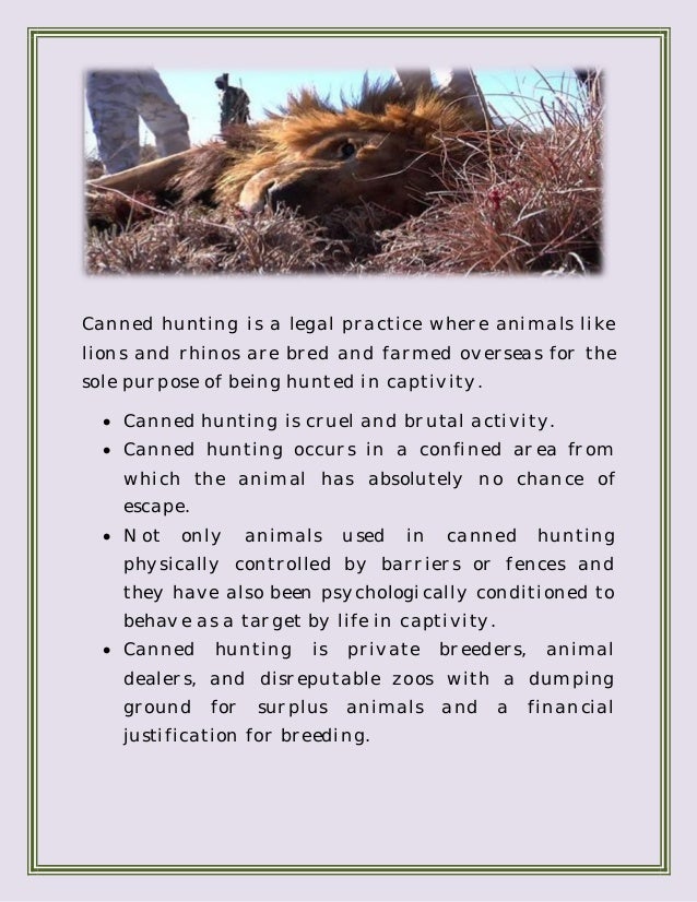 What is Canned Hunting