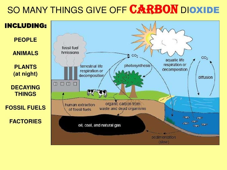 What is carbon and why is it important?
