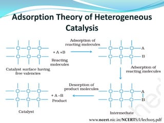 What is catalysis, its type and its application | PDF