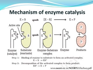 What is catalysis, its type and its application