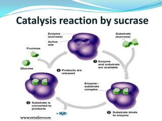 What is catalysis, its type and its application