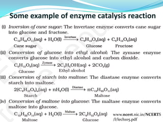 What is catalysis, its type and its application