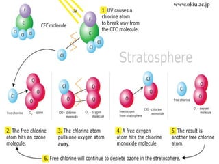 What is catalysis, its type and its application