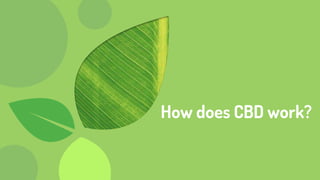 How does CBD work?
 