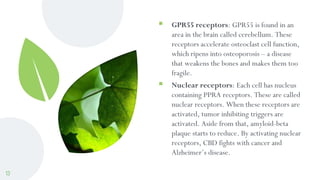  GPR55 receptors: GPR55 is found in an
area in the brain called cerebellum. These
receptors accelerate osteoclast cell fu...