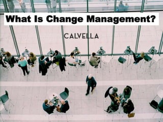 What Is Change Management?
 