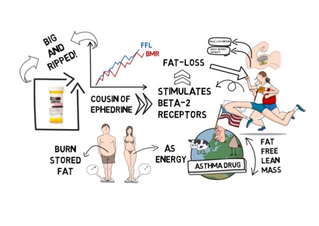 What Is Clenbuterol And Benefits