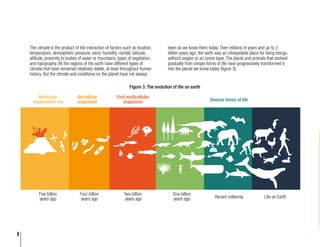6
The climate is the product of the interaction of factors such as location,
temperature, atmospheric pressure, wind, humidity, rainfall, latitude,
altitude, proximity to bodies of water or mountains, types of vegetation,
and topography. All the regions of the earth have different types of
climate that have remained relatively stable, at least throughout human
history. But the climate and conditions on the planet have not always
Recent millennia
Five billion
years ago
Four thousand
million years ago
Molecular
organization era
Two thousand
million years ago
Unicellular
organisms
First multicellular
organisms
One thousand
million years ago
Life on Earth
Diverse forms of life
been as we know them today. Over millions of years and up to 2
billion years ago, the earth was an inhospitable place for living beings,
without oxygen or an ozone layer. The plants and animals that evolved
gradually from simple forms of life have progressively transformed it
into the planet we know today (figure 3).
Figure 3. The evolution of life on earth
Five billion
years ago
Molecular
organization era
Unicellular
organisms
First multicellular
organisms Diverse forms of life
Four billion
years ago
Two billion
years ago
One billion
years ago Recent millennia Life on Earth
 