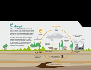 11
Most of the negative impacts of such extraction were until recently,
localized, including pollution from the burning of coal or oil, acciden-
tal explosions, and oil spills. Such incidents seemed small compared
to mankind’s giant steps forward: important technological advances,
increased knowledge about space and the underwater world, and
better health outcomes worldwide. It was a long time before people
realized that using fossil fuels was leaving a serious mark on the
atmosphere and the planet’s ecosystems.
Over the past 200 years, humans have steadily increased their con-
sumption of oil, coal, and natural gas, releasing large amounts of
CO2
in the process.
Box 2.
Carbon cycle
Photosynthesis
Sunlight
Carbon
dioxide
Vehicle and factory
emissions
Respiration
of animals
Respiration
of plants
Respiration
of roots
Organic carbon
Decomposing
organisms
Dead organisms and
waste products
Fossils and fossil fuels
Carbon is one of the GHGs to have increased
most dramatically in the atmosphere. Even as the
emissions from hydrocarbons burned for everyday
activities have increased, the absorptive capacity
of forests has been decreased by deforestation.
The carbon cycle involves all living beings (for
example, human and animals emit it when
breathing; plants capture it with photosynthe-
sis; decomposed, it is stored in fossil fuels)
and many geological processes (such as
emissions through volcanoes).
The carbon cycle
Carbon
dioxide
Carbon cycle
Vehicle and factory
emissions
Respiration
of plants
Respiration
of animals
Organic carbon Respiration of
roots
Dead organisms and
waste products
Descomposing
organisms
Fossils and fossil fuels
Photosynthesis
Sunligth
 