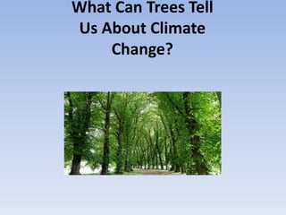 What Can Trees Tell
Us About Climate
Change?
 