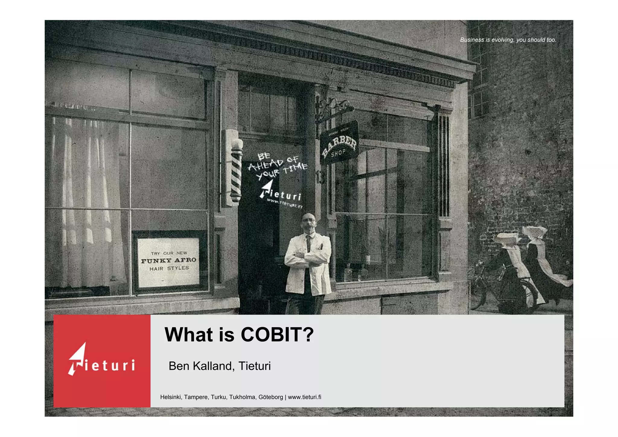 What is Cobit