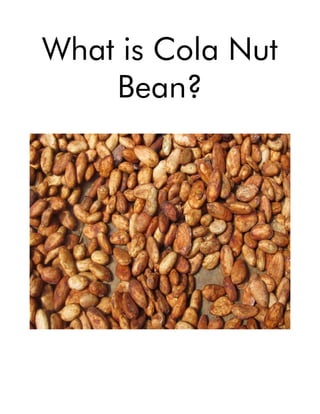 What is Cola Nut
Bean?
 
