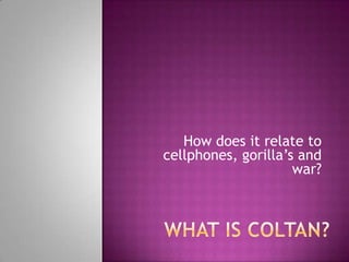 How does it relate to
cellphones, gorilla’s and
                     war?
 