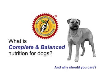 What is Complete & Balanced   nutrition for dogs? And why should you care? 