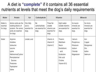 essential nutrients for dogs