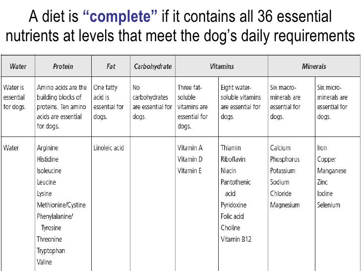 What Is Complete And Balanced Nutrition For Dogs