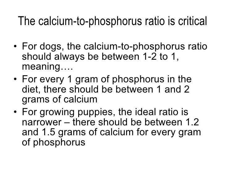 What Is Complete And Balanced Nutrition For Dogs