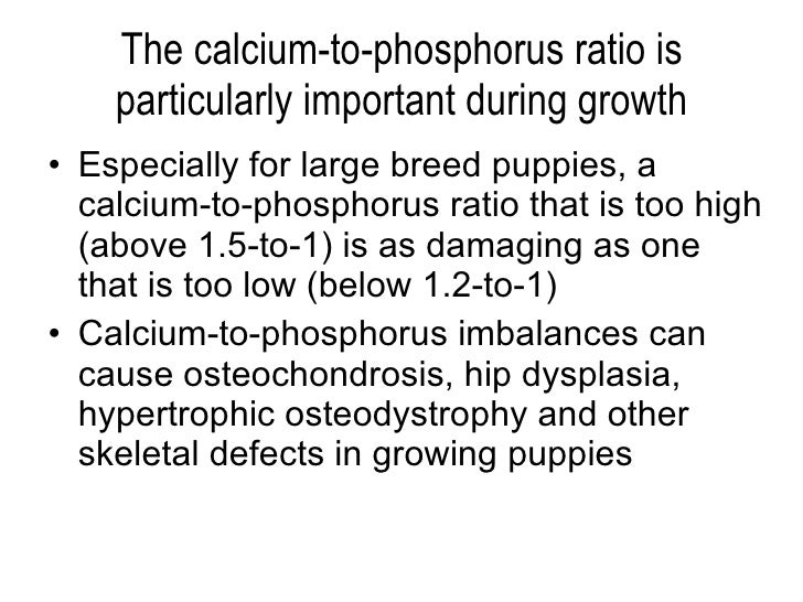 Calcium Phosphorus Ratio For Large Breed Dogs Calcium Phosphorus Ratio For Large Breed Dogs