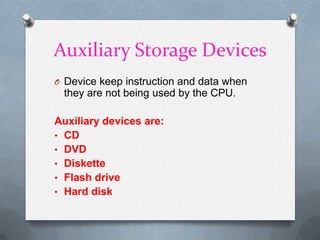 Central processing unit (CPU)