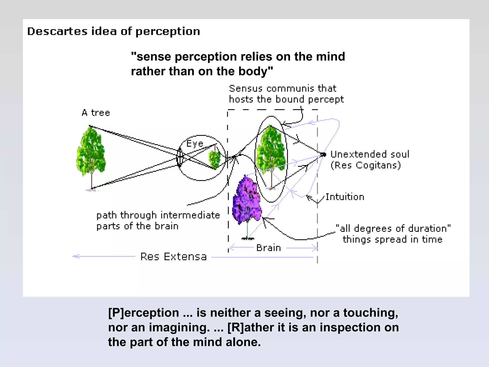 [P]erception ... is neither a seeing, nor a touching, nor an imagining. ... [R]ather it is an inspection on the part of the mind alone. &quot;sense perception relies on the mind rather than on the body&quot; 