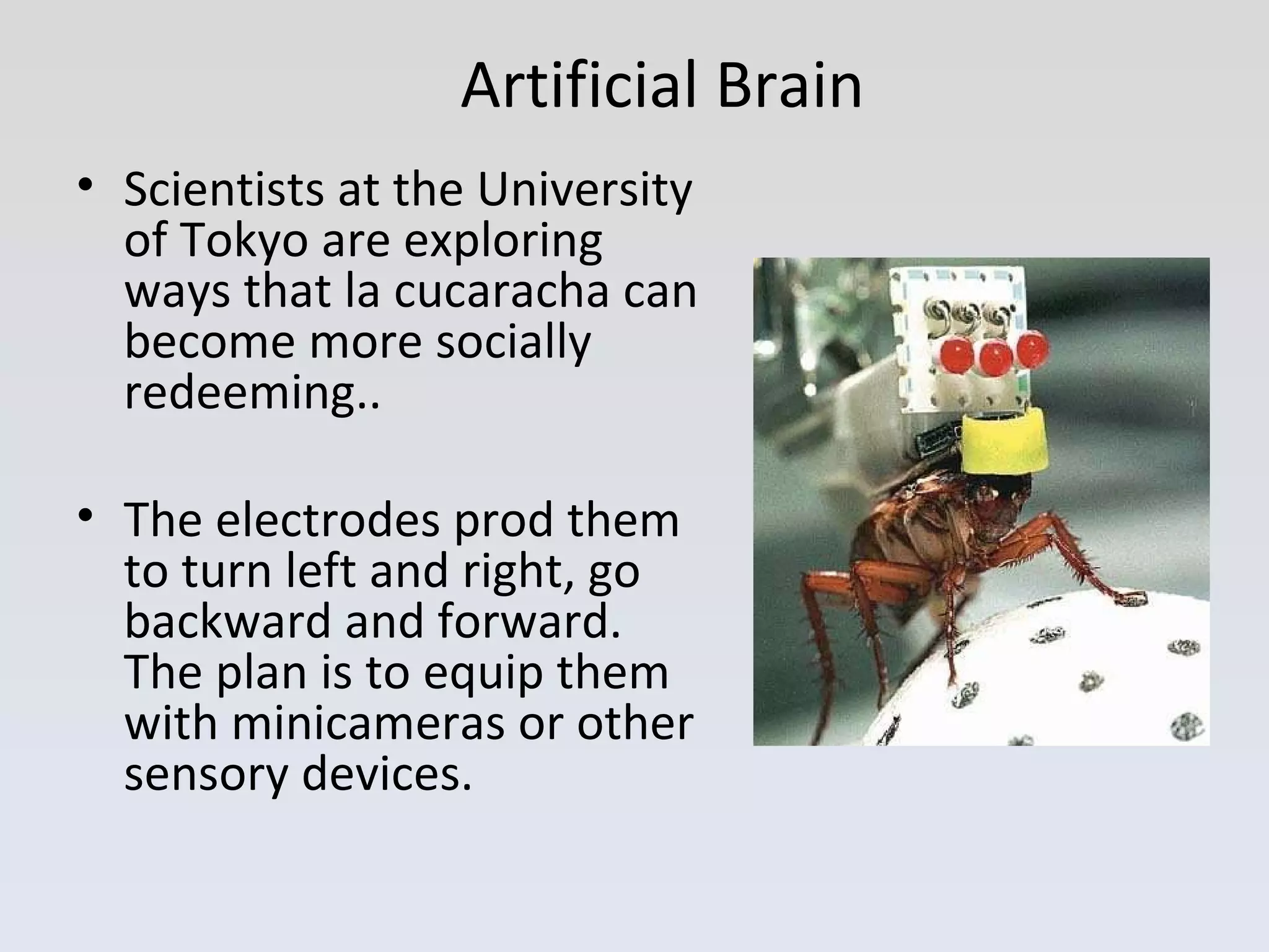 Artificial Brain Scientists at the University of Tokyo are exploring ways that la cucaracha can become more socially redeeming..  The electrodes prod them to turn left and right, go backward and forward. The plan is to equip them with minicameras or other sensory devices.  