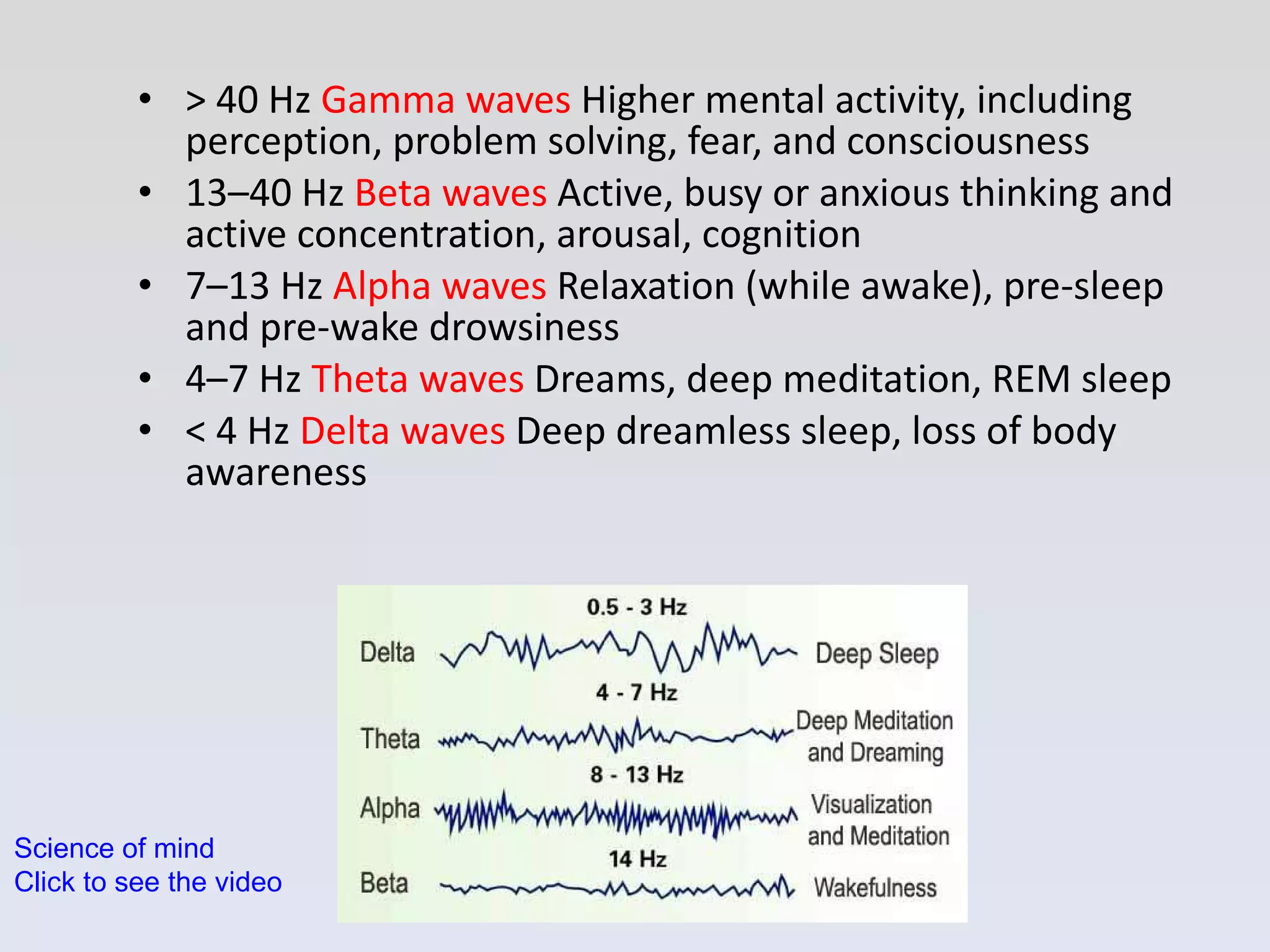 > 40 Hz  Gamma waves  Higher mental activity, including perception, problem solving, fear, and consciousness 13–40 Hz  Beta waves  Active, busy or anxious thinking and active concentration, arousal, cognition 7–13 Hz  Alpha waves  Relaxation (while awake), pre-sleep and pre-wake drowsiness 4–7 Hz  Theta waves  Dreams, deep meditation, REM sleep < 4 Hz  Delta waves  Deep dreamless sleep, loss of body awareness Science of mind Click to see the video 
