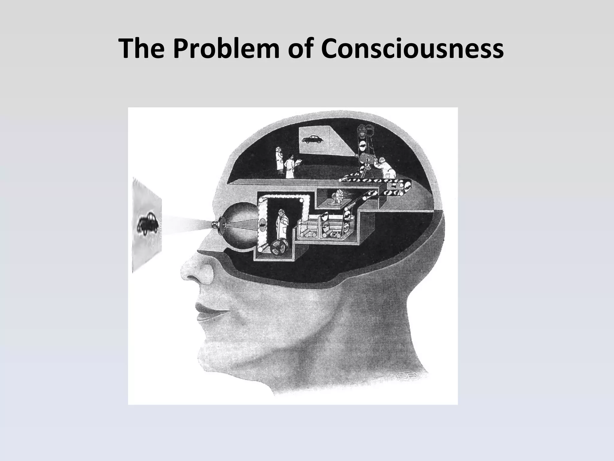 The Problem of Consciousness 