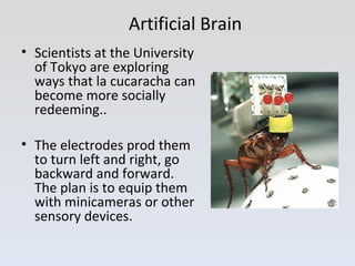 Artificial Brain <ul><li>Scientists at the University of Tokyo are exploring ways that la cucaracha can become more social...