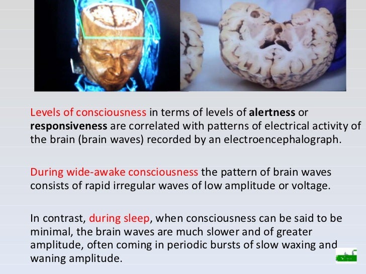 What is consciousness?