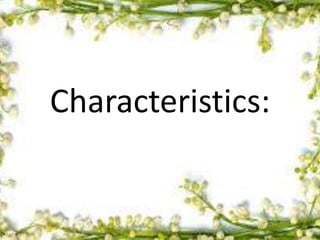 Characteristics:
 