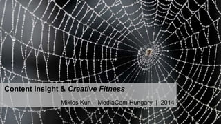 Content Insight & Creative Fitness
Miklos Kun – MediaCom Hungary | 2014
 