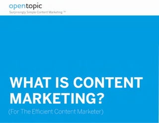 •
opentopic
Surprisingly Simple Content Marketing "
 