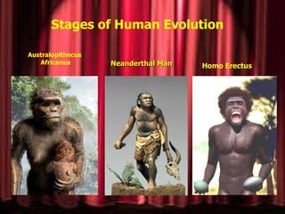 What is cultural geography | PPT