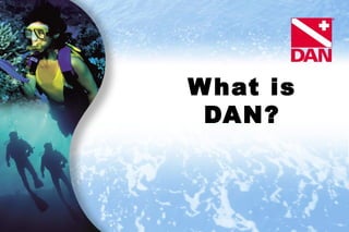 What is DAN? 